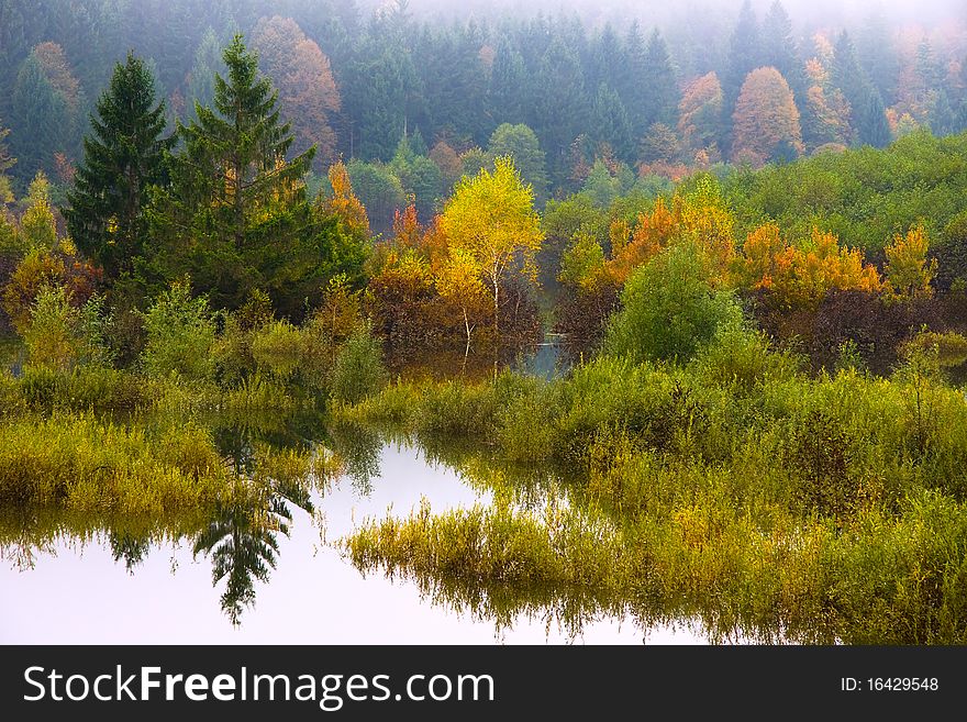 A beautiful autumn's landscape in the morning with fog and mist. A beautiful autumn's landscape in the morning with fog and mist