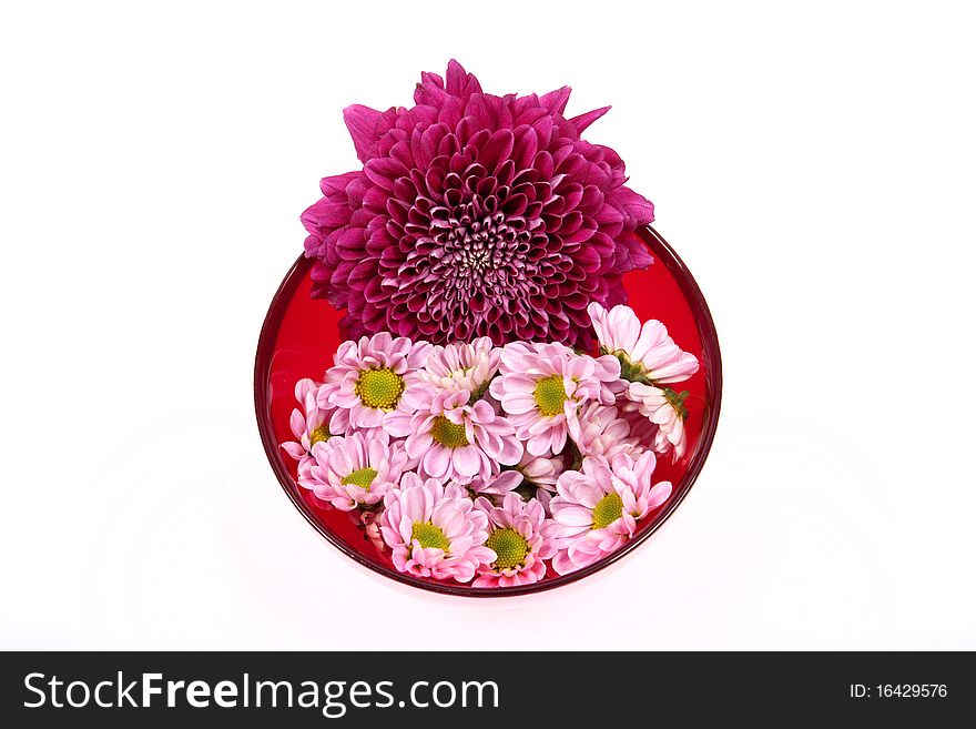 Flowers frame isolated on white