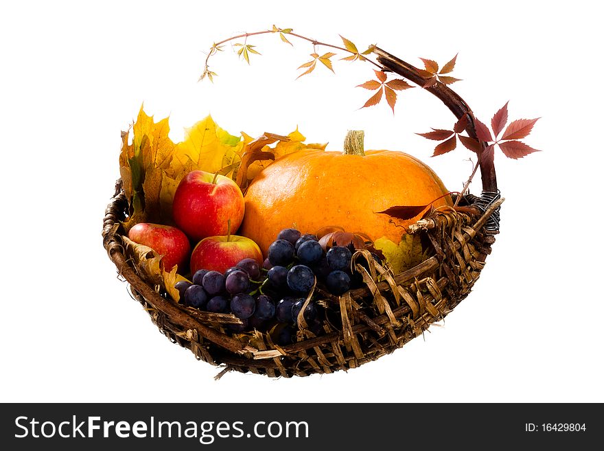 Autumn S Basket