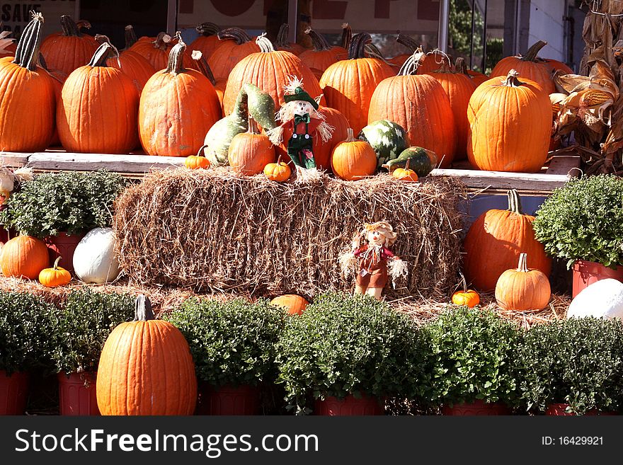 Fall Pumpkins, Hay And Scarecrows