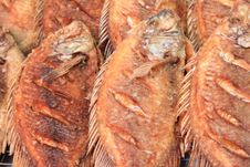 Grilled Fish Royalty Free Stock Photos Grilled Fish Royalty Free Stock Photos