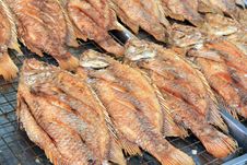 Grilled Fish Stock Photography Grilled Fish Stock Photography