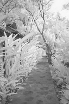 Infrared Water-distribution Canal Royalty Free Stock Photos Infrared Water-distribution Canal Royalty Free Stock Photos