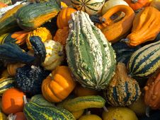 Colorful Pumpkins For Halloween Scary Jack Royalty Free Stock Images Colorful Pumpkins For Halloween Scary Jack Royalty Free Stock Images