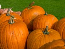 Colorful Pumpkins For Halloween Scary Jack Royalty Free Stock Photography Colorful Pumpkins For Halloween Scary Jack Royalty Free Stock Photography
