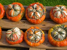 Colorful Pumpkins For Halloween Scary Jack Stock Images Colorful Pumpkins For Halloween Scary Jack Stock Images