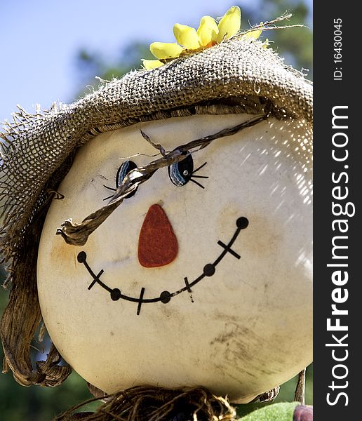 Colorful scarecrow