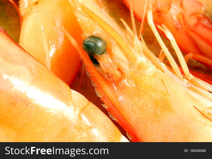 Detail of a head with the eye of shrimp on top. Detail of a head with the eye of shrimp on top