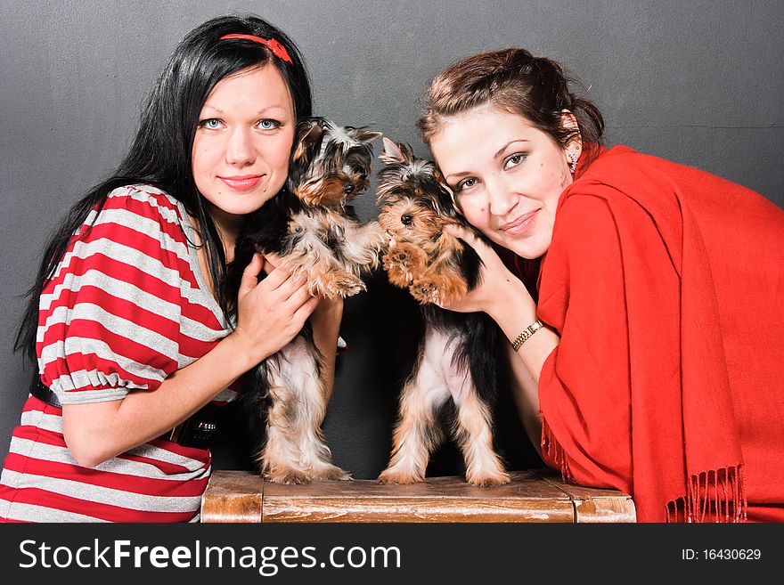 Two girls pose with small yorkshire-terriers. Two girls pose with small yorkshire-terriers