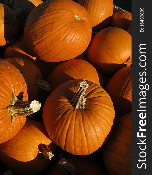 A group of pumpkins for sale at a local roadside market. A group of pumpkins for sale at a local roadside market.