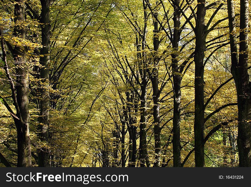 Autumn in the South Park, Wroclaw, Poland. Autumn in the South Park, Wroclaw, Poland