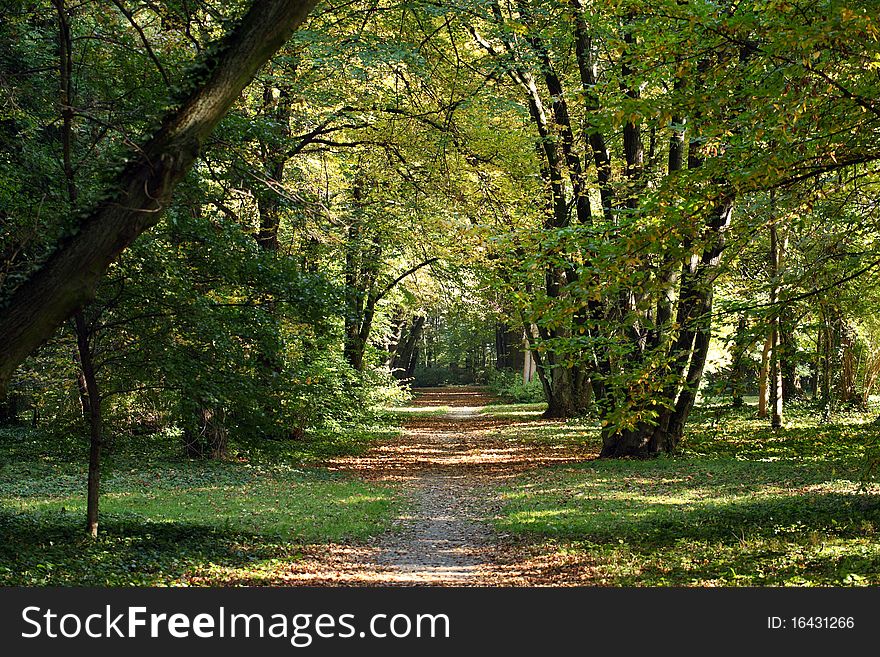 Early autumn in the park