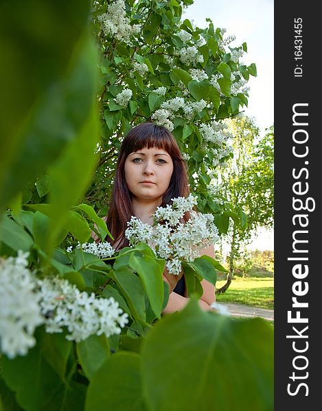 Portrait of young beautiful woman with pipe-tree. Portrait of young beautiful woman with pipe-tree.