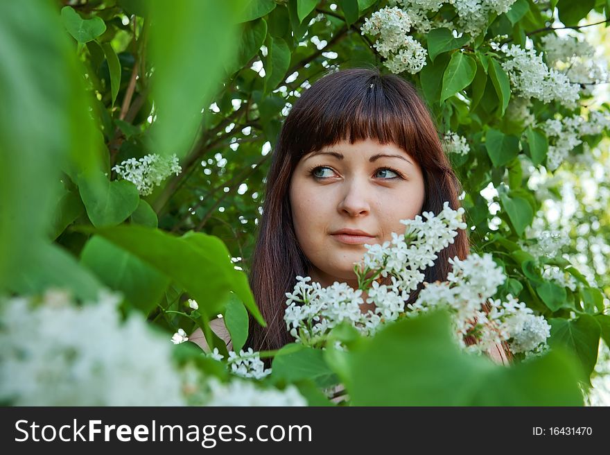 Portrait of young beautiful woman with pipe-tree. Portrait of young beautiful woman with pipe-tree.