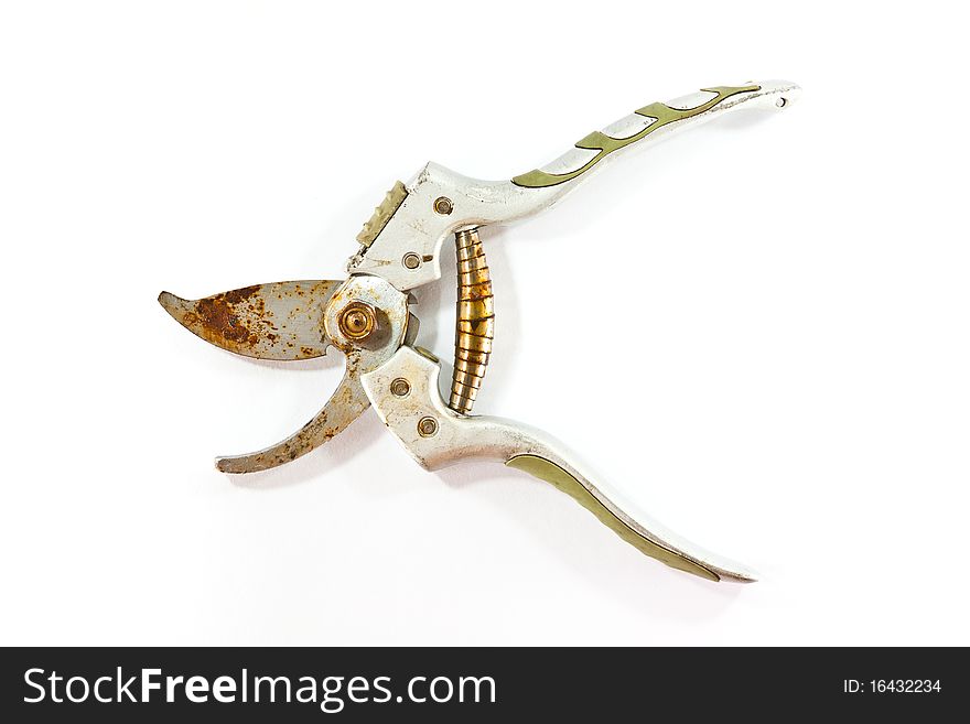 Old rusty Secateurs isolated from white background. Old rusty Secateurs isolated from white background