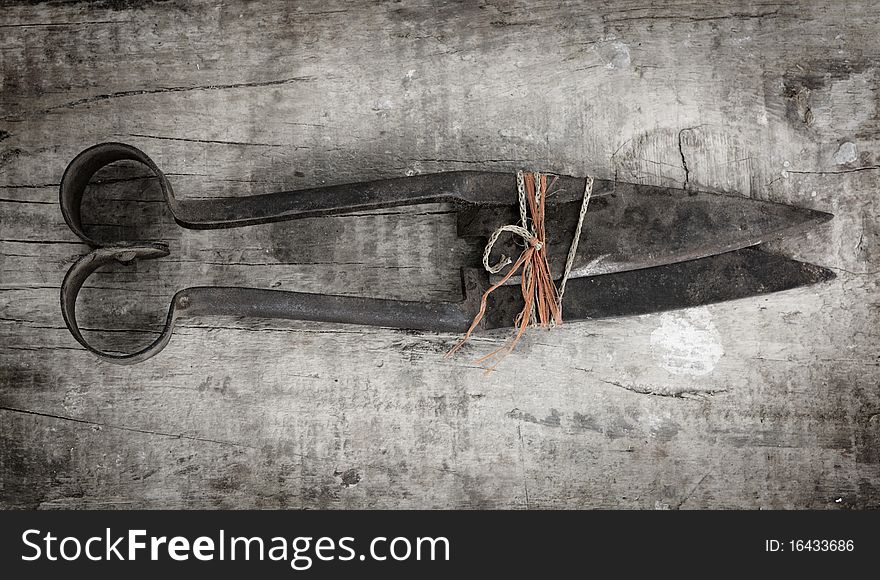 Old, rusty sheering scissors tied up with string for storage. Photographed on a rough wooden surface.
