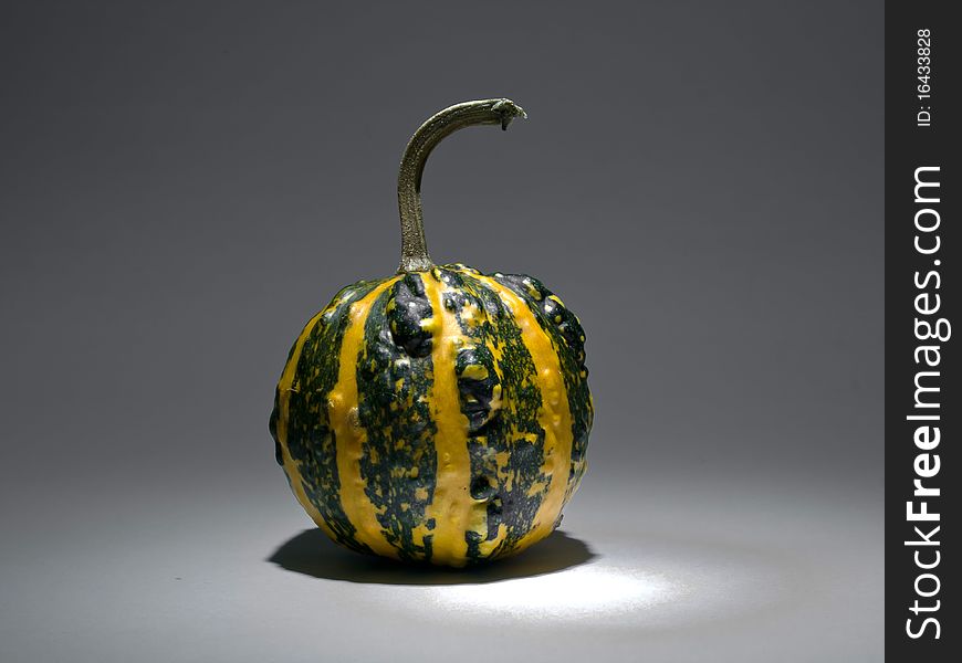 Green and yellow striped small pumpkin. Green and yellow striped small pumpkin