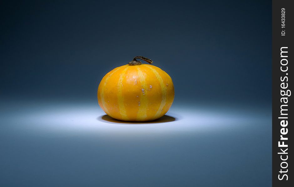 White and yellow striped small pumpkin in the dark