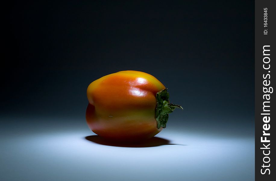 Colorful chili pepper in the dark with shadows