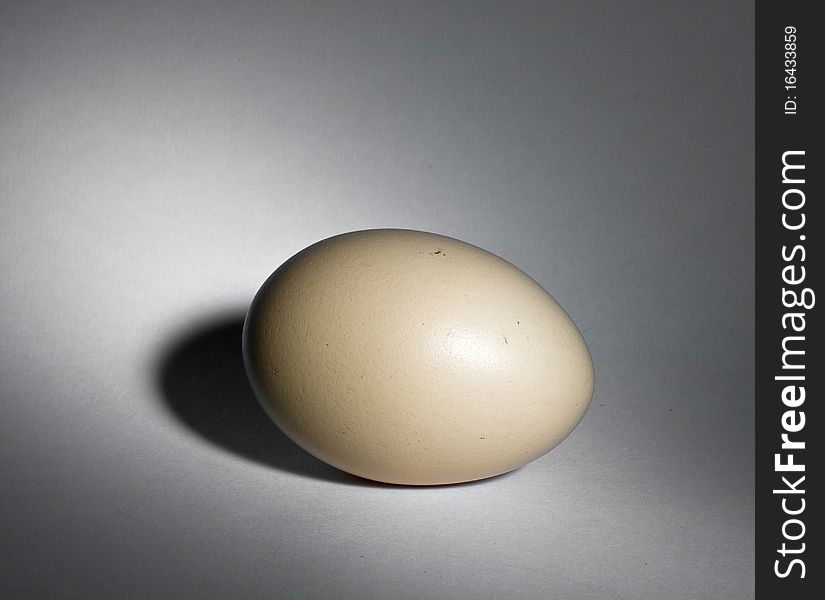 Natural egg with shadow on grey
