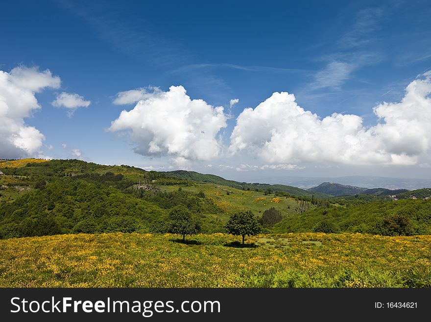 Idyllic landscape - national park Mount Amiata Tuscany / Italy