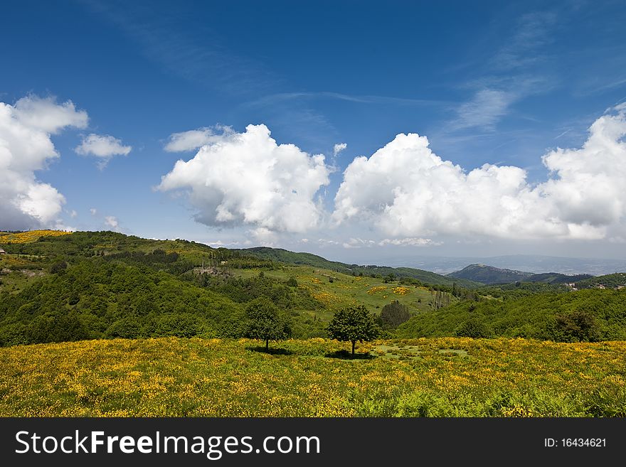 Idyllic Landscape