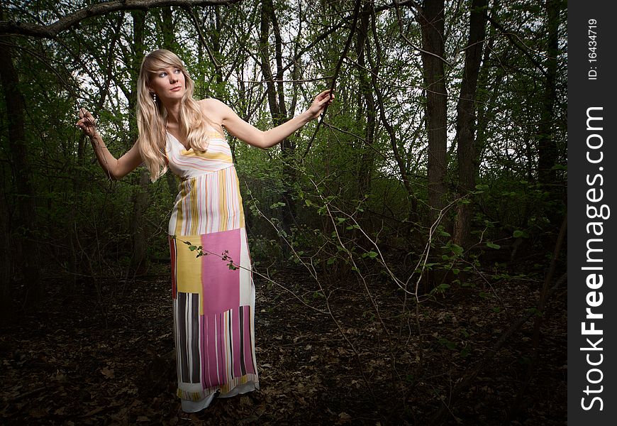 Wide-angle portrait of a young lady in a dark forest. Wide-angle portrait of a young lady in a dark forest