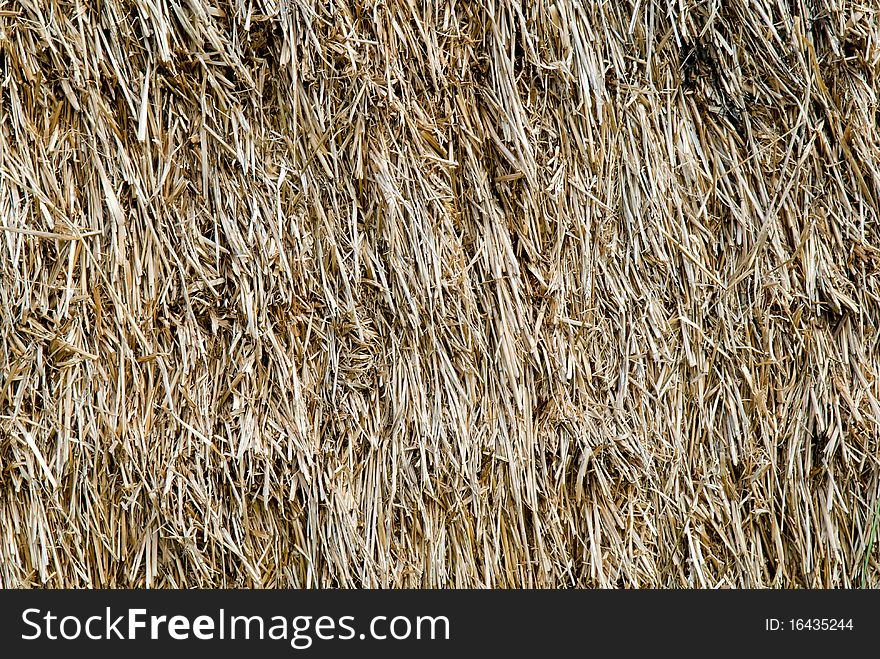 Straw, Hay Background
