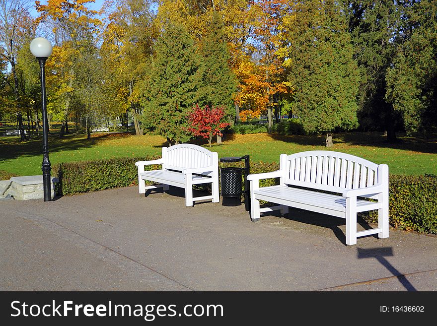 Two benches in autump park. Two benches in autump park