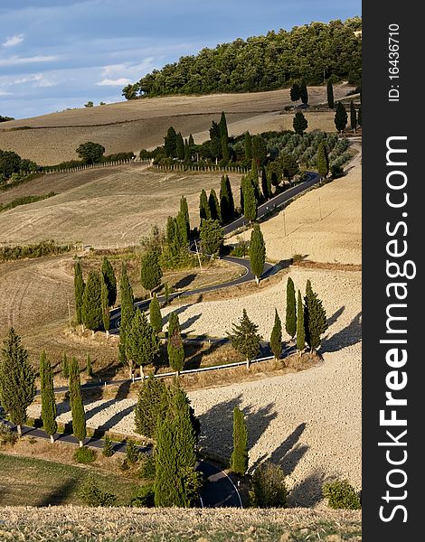 Characteristic of the panorama of the Tuscan landscape. Characteristic of the panorama of the Tuscan landscape