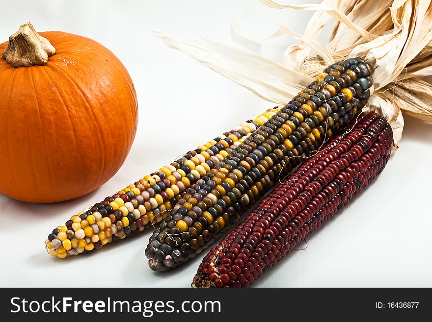 Small pumpkin with multi colored indian corn isolated on white background overhead view with close crop. Small pumpkin with multi colored indian corn isolated on white background overhead view with close crop