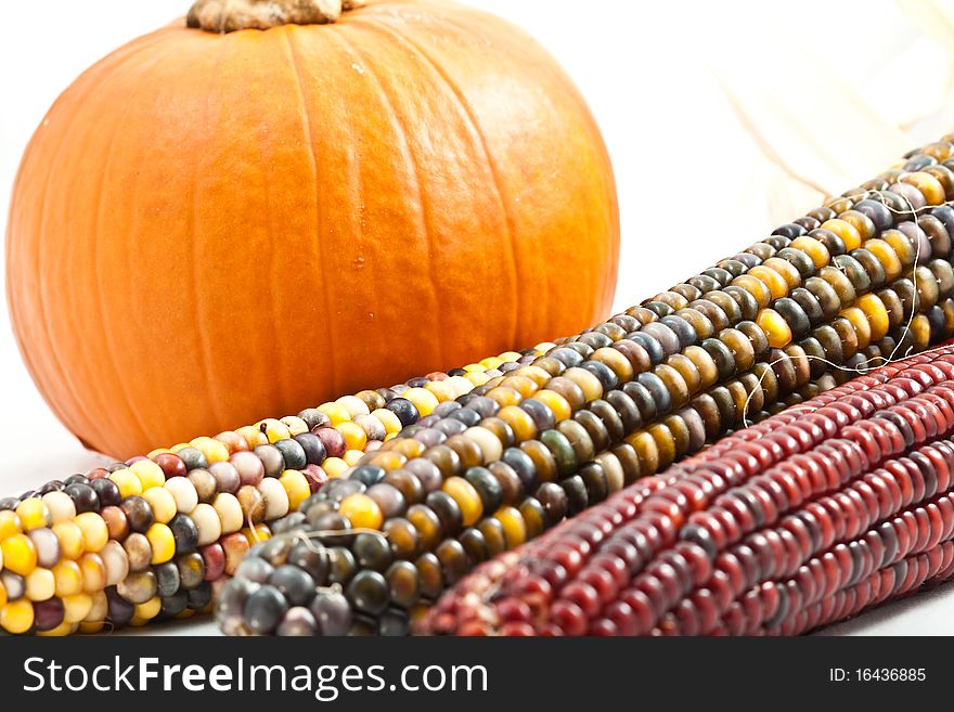 Small pumpkin with multi colored indian corn isolated on white background close crop with the corn in the foreground slightly out of focus. Small pumpkin with multi colored indian corn isolated on white background close crop with the corn in the foreground slightly out of focus