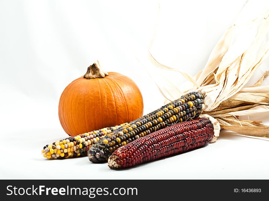 Small pumpkin with multi colored indian corn isolated on white background. Small pumpkin with multi colored indian corn isolated on white background