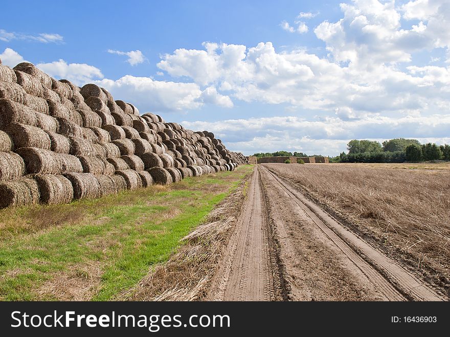 Rural view,  haystack bales in countryside. Rural view,  haystack bales in countryside.