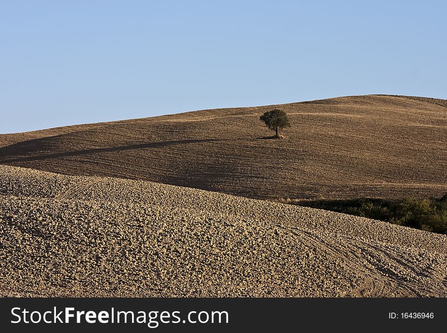 Characteristic of the panorama of the Tuscan landscape. Characteristic of the panorama of the Tuscan landscape
