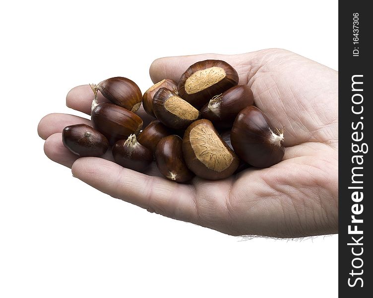 Hand holding chestnuts on white background