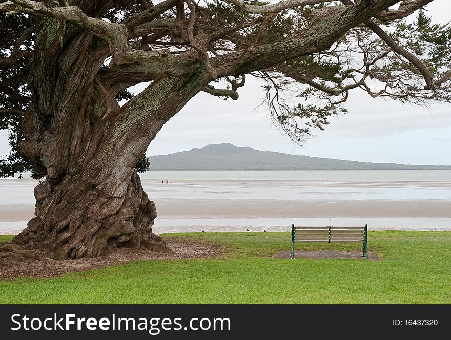 Tree.Beach.Volkano.Bench