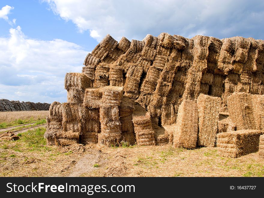 Rural view,  haystack bales in countryside. Rural view,  haystack bales in countryside.
