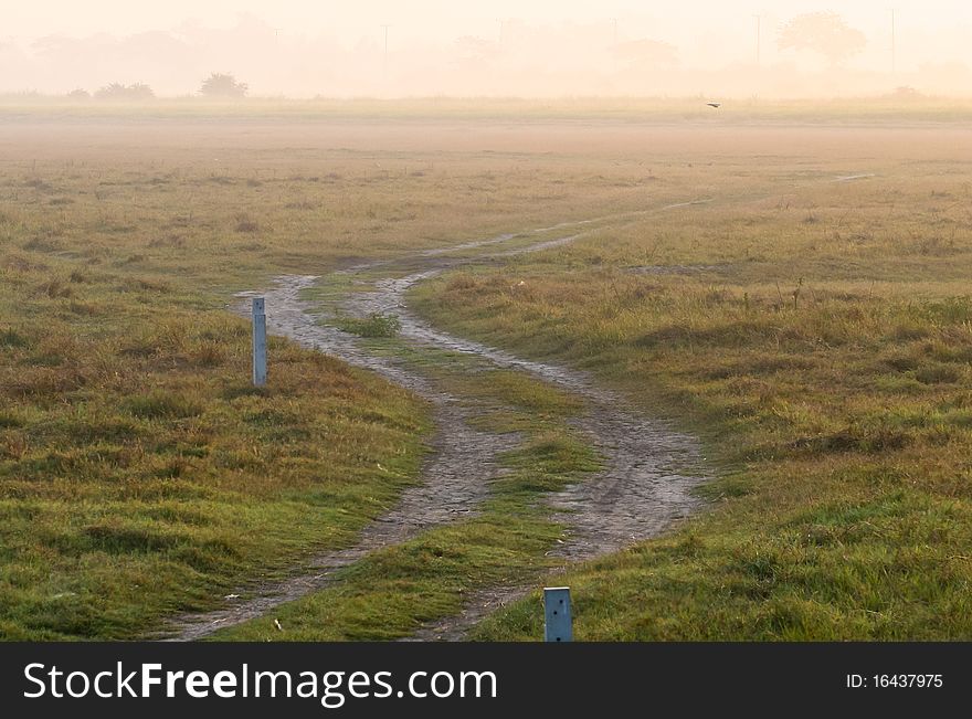 Rural road on green field