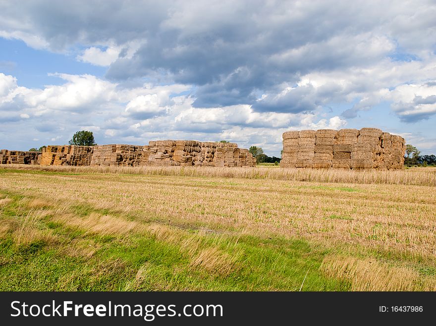 Rural view,  haystack bales in countryside. Rural view,  haystack bales in countryside.