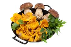Mushrooms In Frying Pan Stock Photo Mushrooms In Frying Pan Stock Photo