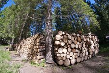 Free Lumber, Dolomites Stock Image - 16442981