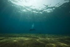 Diver And Ocean Royalty Free Stock Photo Diver And Ocean Royalty Free Stock Photo