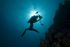 Diver - Underwater Photographer- Silhouette Royalty Free Stock Images