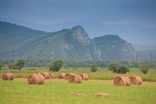 Haystacks On A Green Field Royalty Free Stock Photo Haystacks On A Green Field Royalty Free Stock Photo