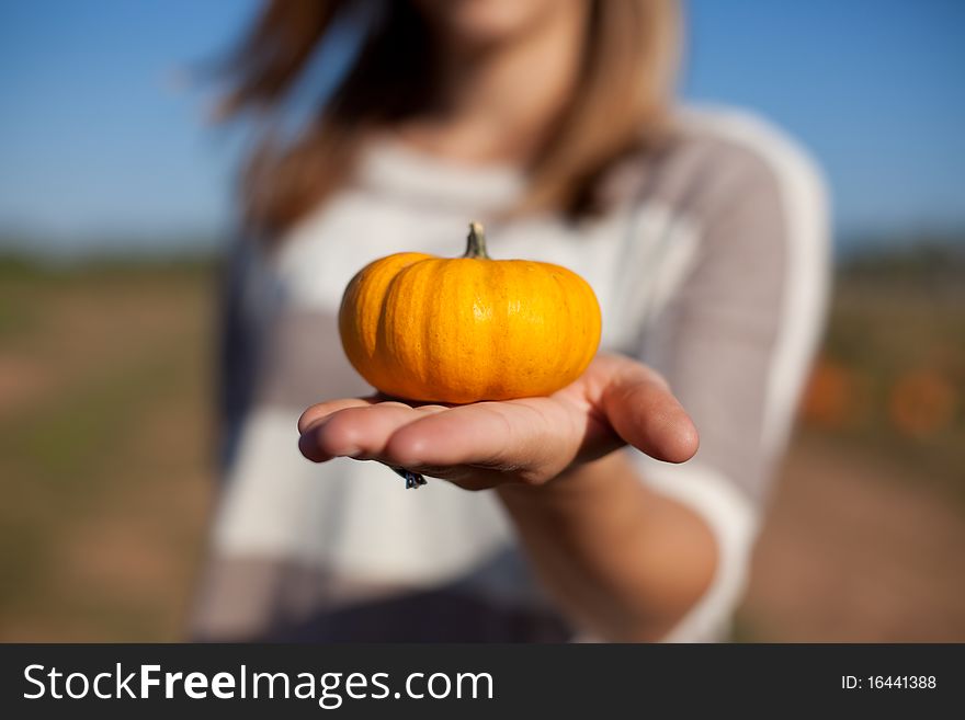 A girl holds a miniature pumpkin in her hand. Shallow depth of field. A girl holds a miniature pumpkin in her hand. Shallow depth of field.