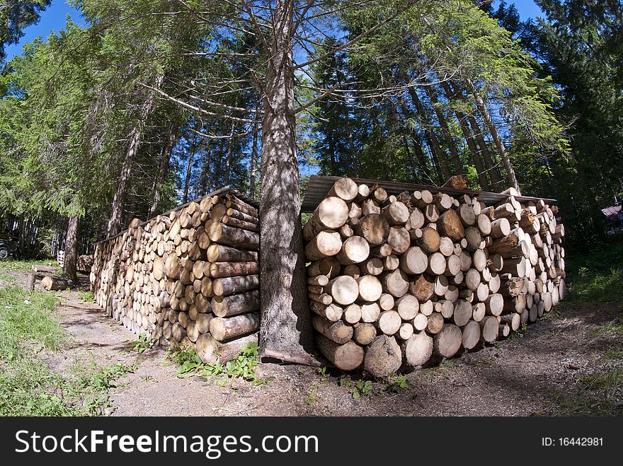 Lumber on a Dolomites Wood, Italy. Lumber on a Dolomites Wood, Italy