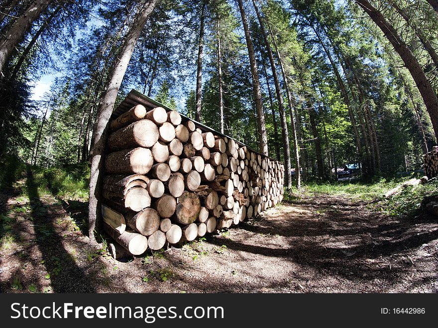 Stacked Pieces of Trees on the Dolomites, Italy. Stacked Pieces of Trees on the Dolomites, Italy