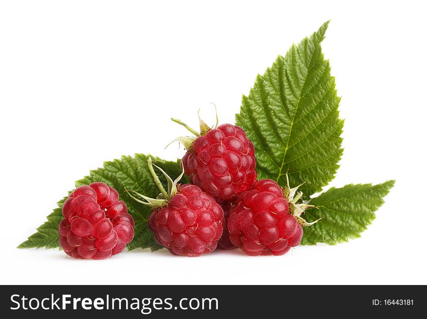 Raspberry with green leaves on a white background