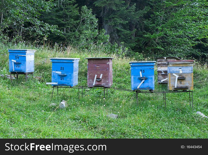 Color wooden bee hives